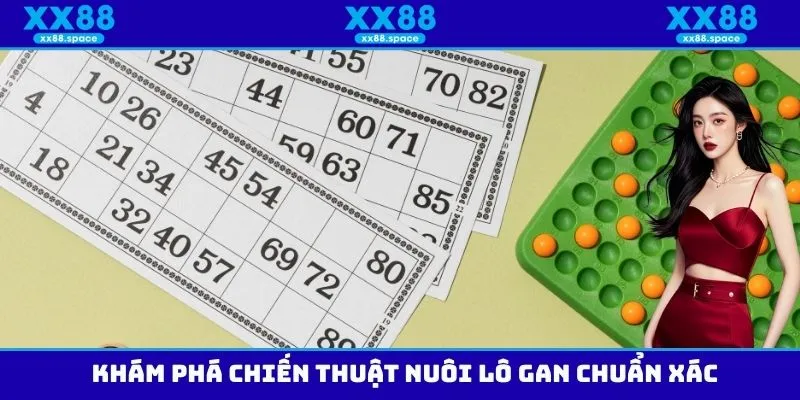 Khám phá chiến thuật nuôi lô gan chuẩn xác