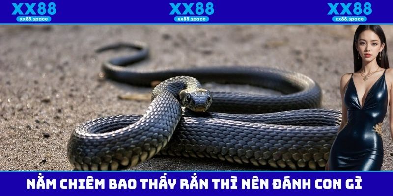 Nằm chiêm bao thấy rắn thì nên đánh con gì